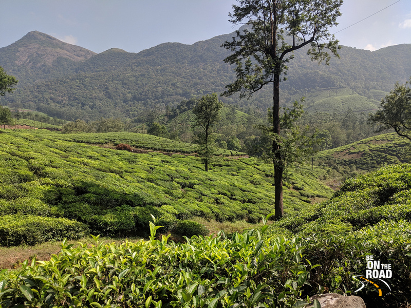 Thekkady Vagamon Package 1N 2D Services