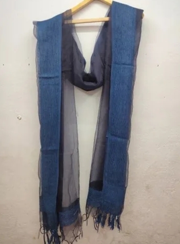 Blue Net Designer Dupatta