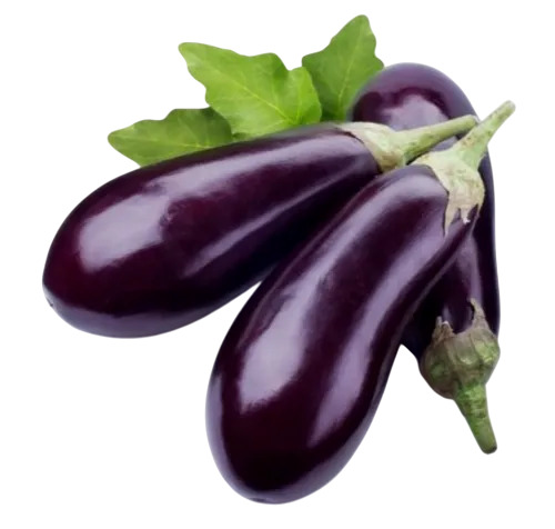Fresh Brinjal 