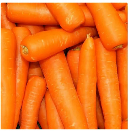 Fresh Carrot