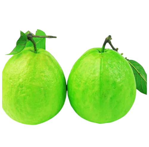 Guava Fruits