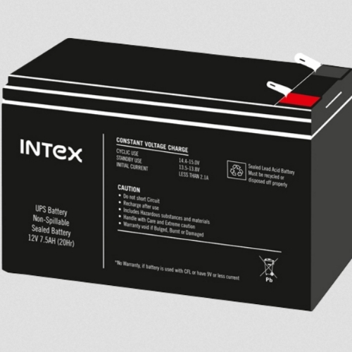 Inverter battery