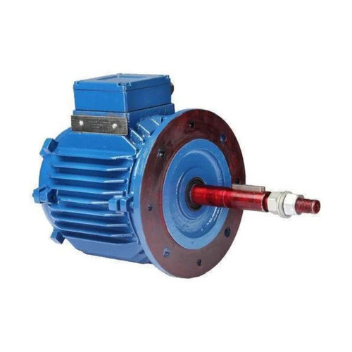 Electric AC Induction Motor