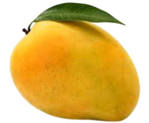 Fresh Mango