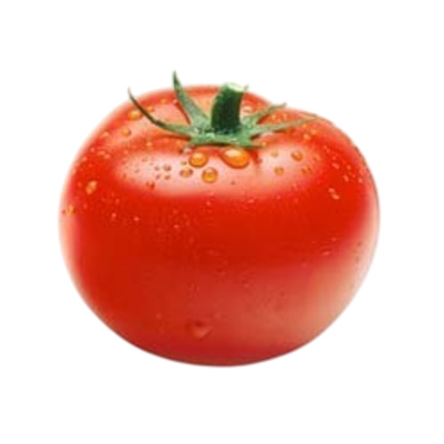 Fresh Tomato