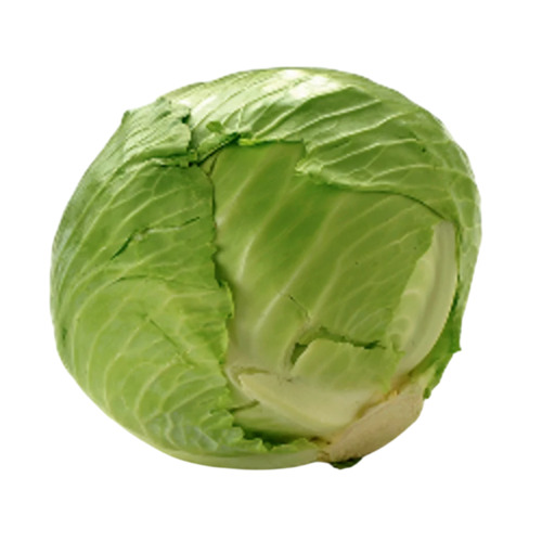 Green Cabbage - Cultivation Type: Common