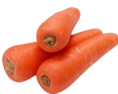 Red Carrot