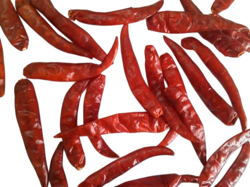 Teja Red Chilli