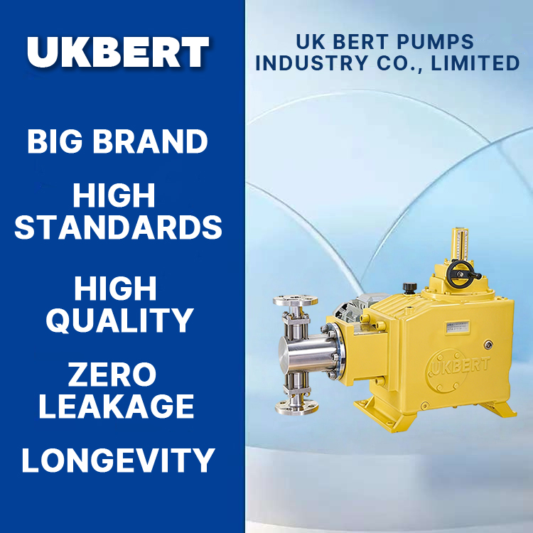 KL-DR Series Plunger Metering Pump