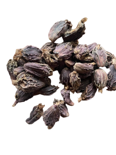 Large Cardamom