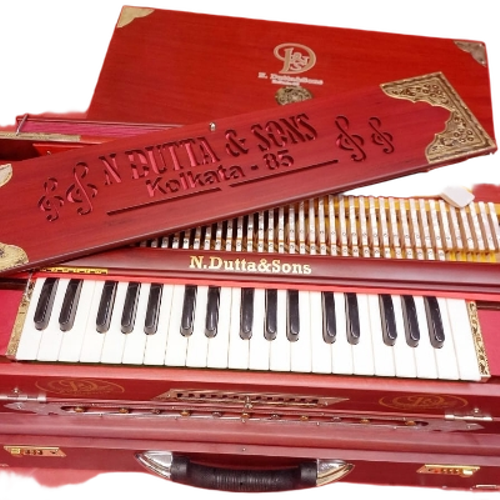 Professional Harmonium