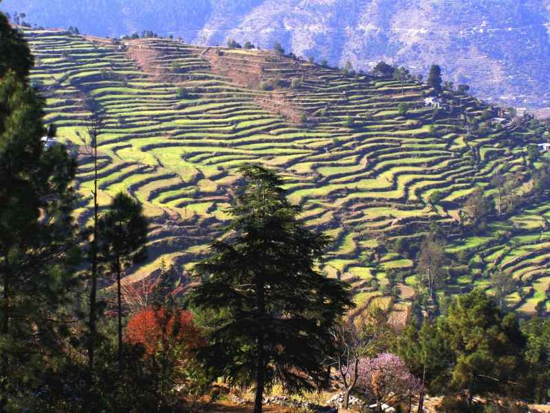 Bageshwar With Nainital Almora Tour Package 4N 5D