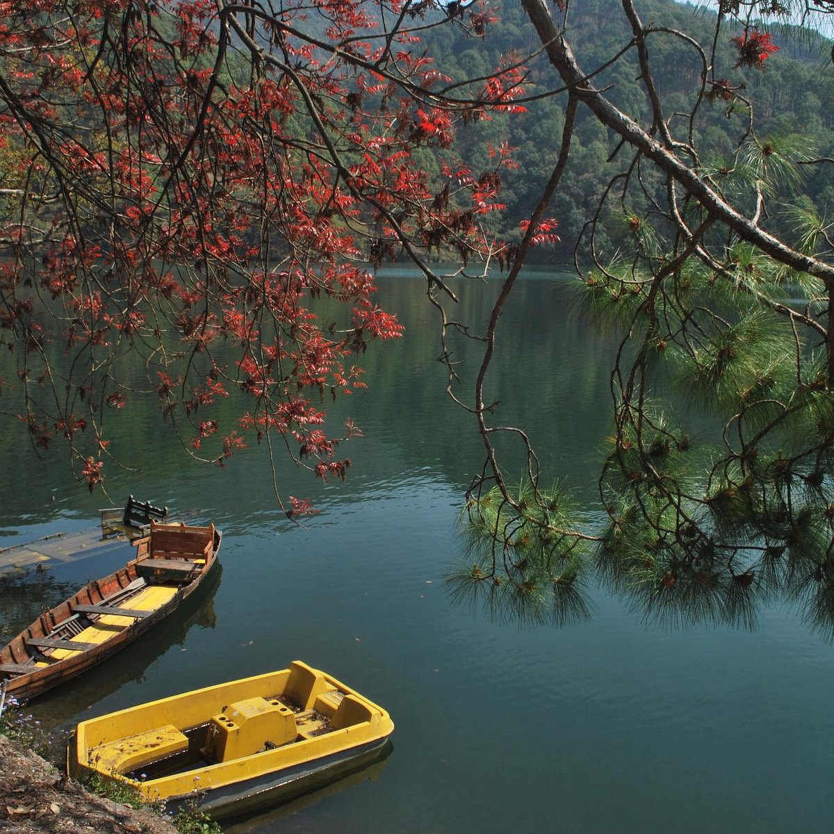 Sattal Tour Package 2n 3d 1 Country