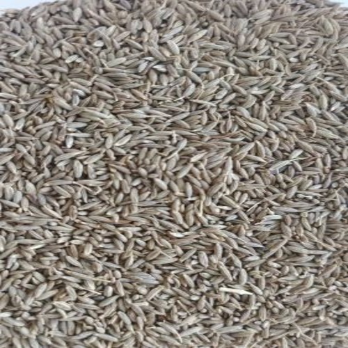 Brown Cumin Seed