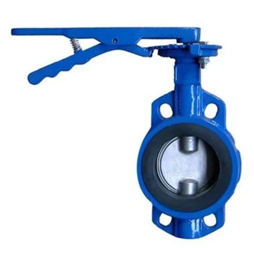 Cast Iron Butterfly Valve