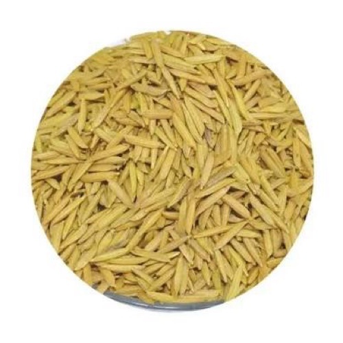 Natural Paddy Seed