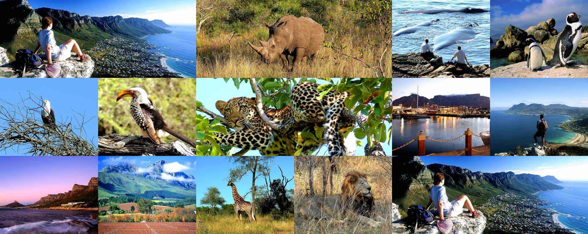 South Africa Tour Package 5N 6D