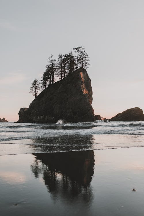 United States West Coast 9 Days Travel Services