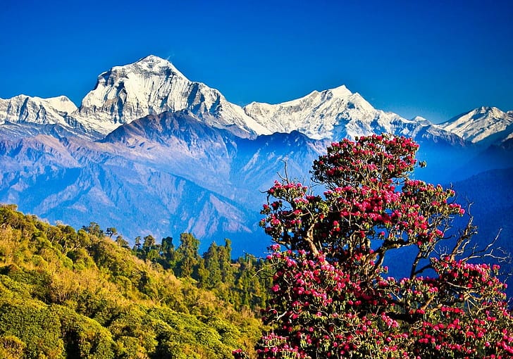 Beautiful Nepal Itinerary 5 Days 1 Country Travel Services