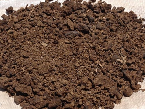 Cow Dung Manure - Color: Brown