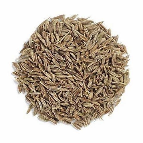 Dry Cumin Seeds By Natural Rice Group