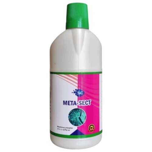 Meta Sect Metarhizium Anisopliae