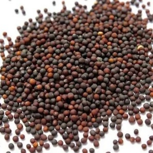 Sanas Agro Cauliflower Seeds