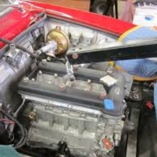 Alfa Removal 