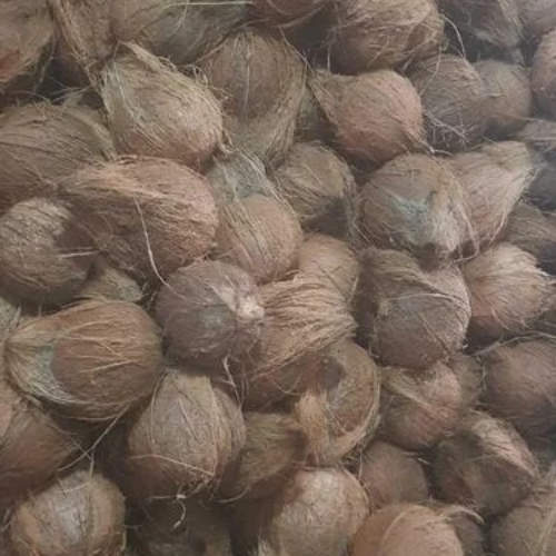 Fresh Husked Coconut