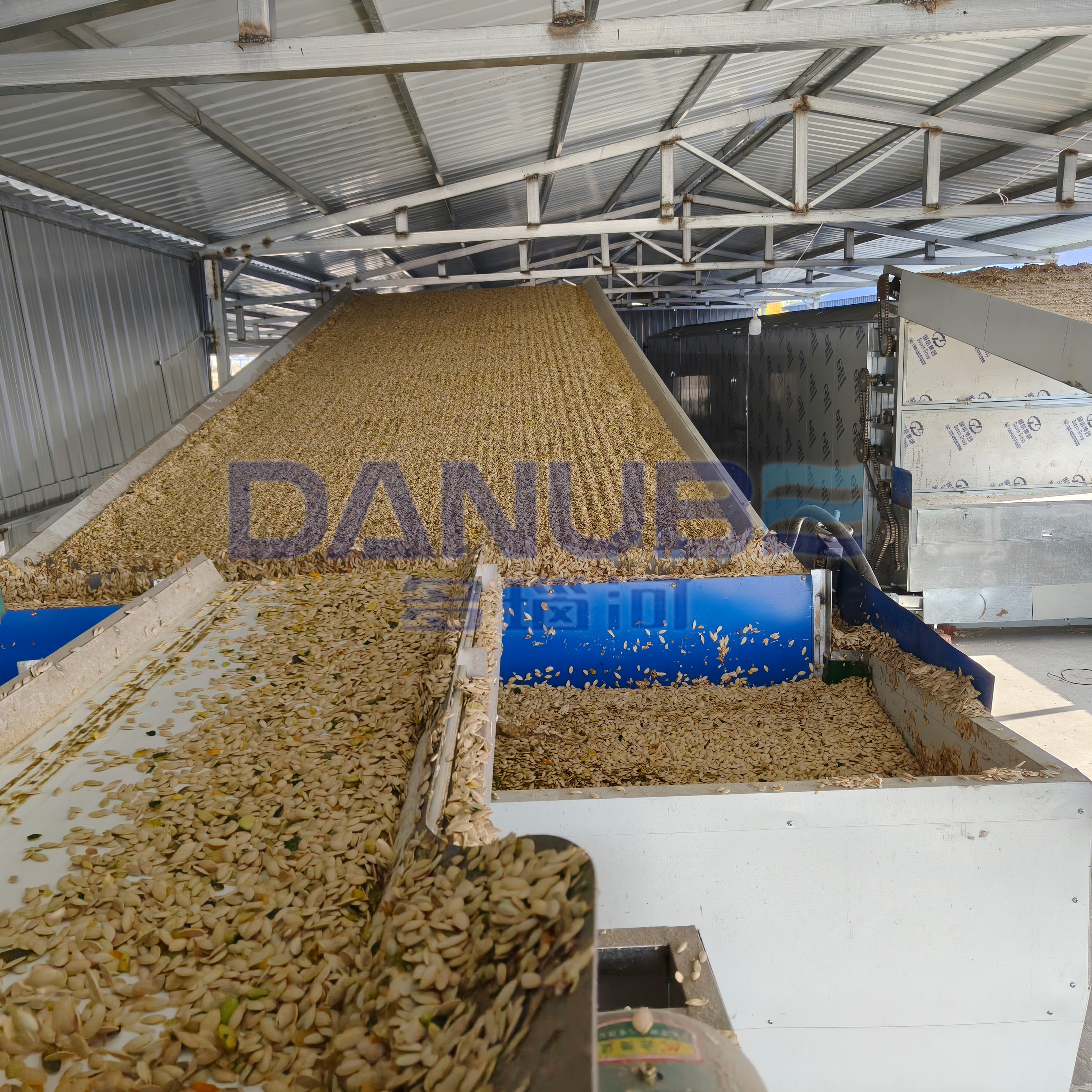 Mesh Belt Gourd Seeds Dryer Gourd Seeds Drying Machine Gourd Seeds Dehydration Equipment - Automatic Grade: Automatic