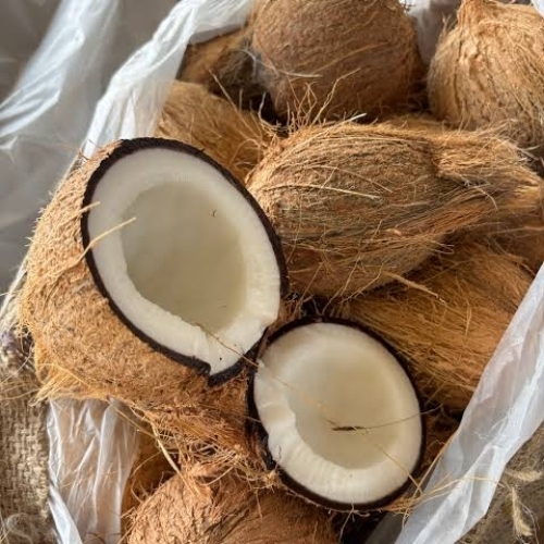Fresh Semi Husked Coconut