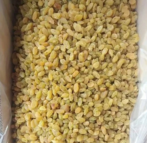 15 Kg Golden Dried Raisins