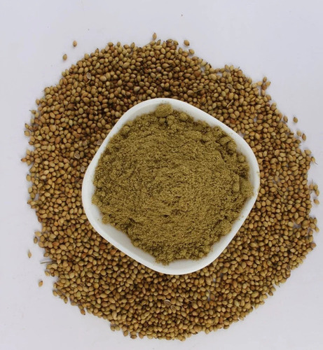 Coriander Seed - Color: Green