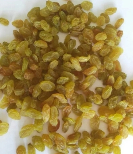 Seedless Gold Green Raisins