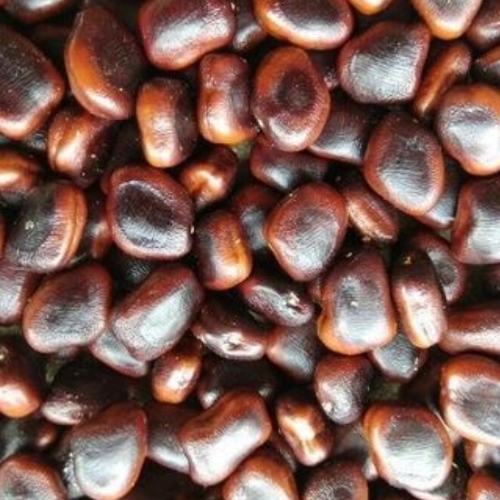 Tamarind Seeds