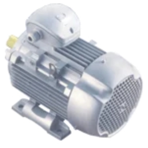 Ac Induction Motor