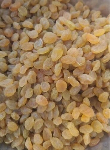 Fresh Golden Raisins