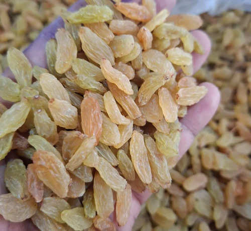 Fresh Yellow Raisins