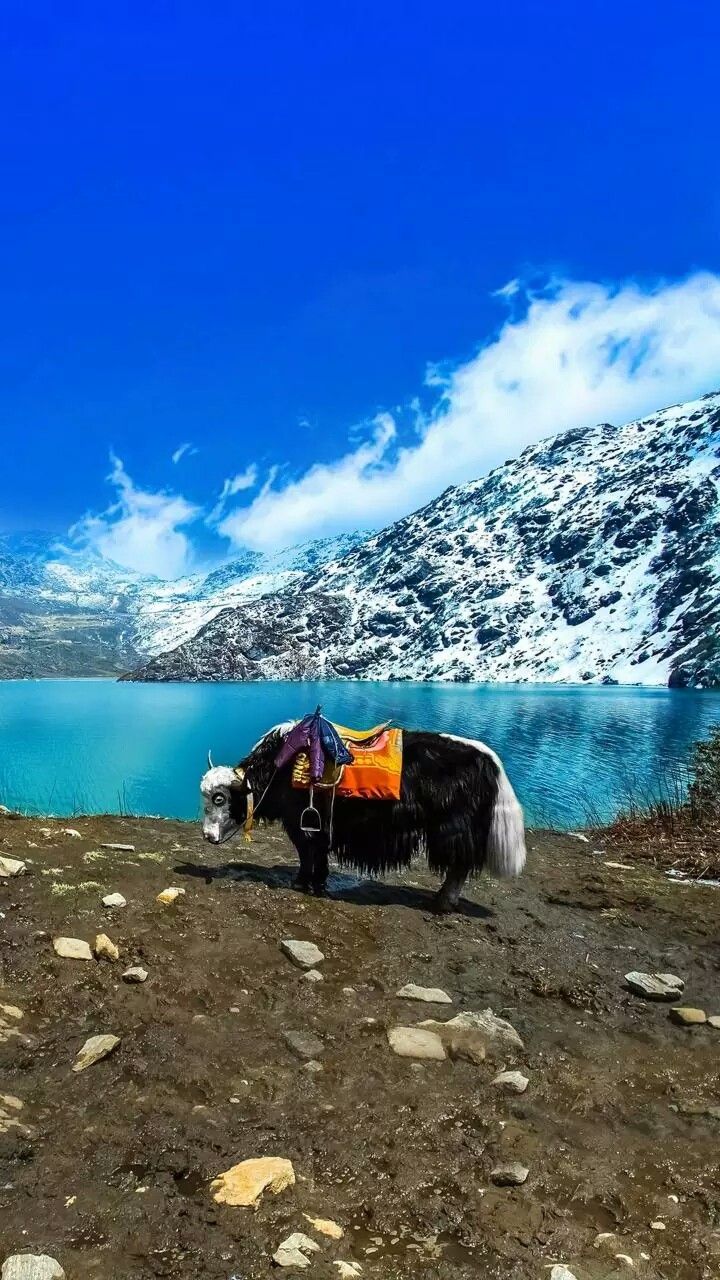 Gangtok Tour Package 2N 3D Services