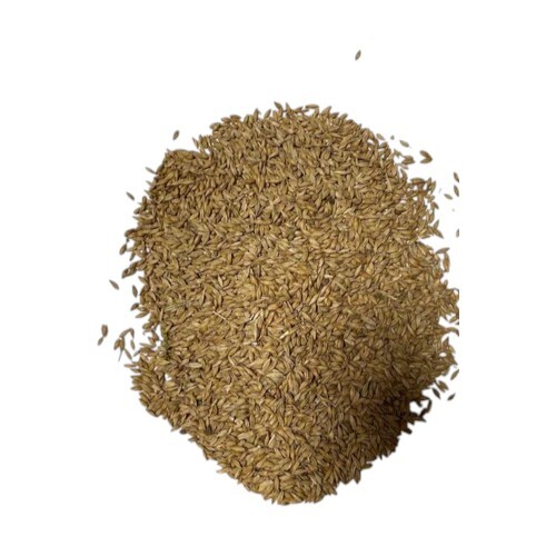 Barley Cattle Feed