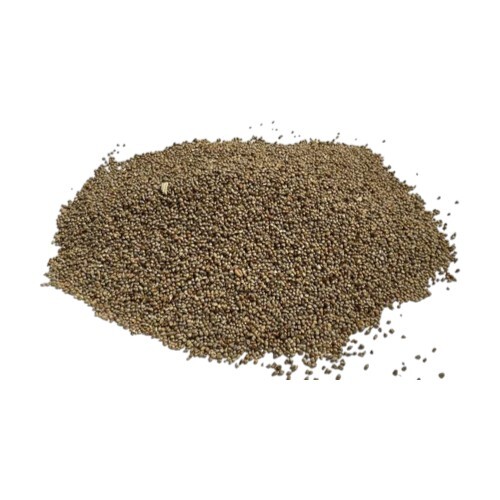 Organic Pearl Millet Cattle Feed