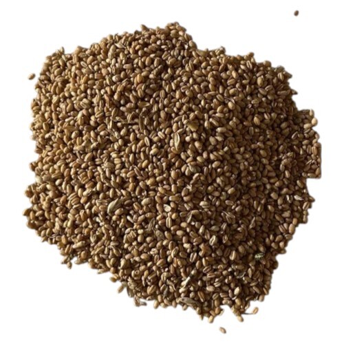 Wheat Broken Cattle Feed