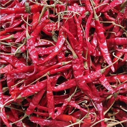 Dry Red Chilli