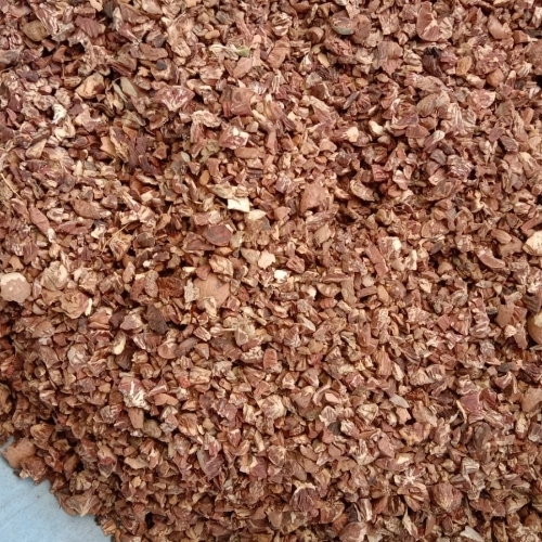 Lion Safari mouth freshener