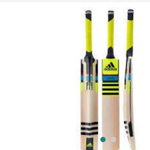 Kashmir Willow Cricket