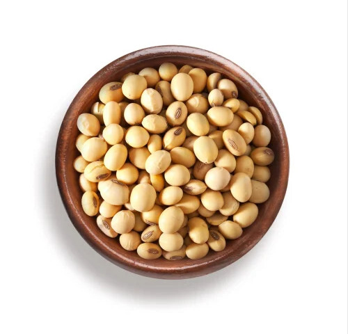 Dried Soybean Seeds - Color: Brown