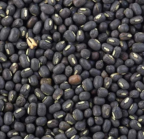 Organic Black Urad Seed