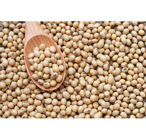 Organic Pratikar Soybean Seeds