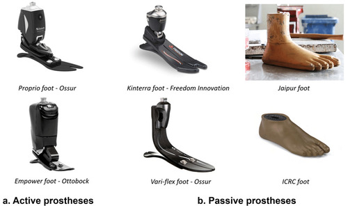 Prosthetic Foot