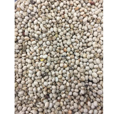 Samruddhi Soybean Seeds